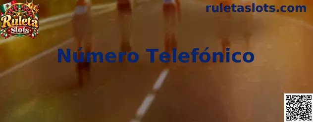 Guía de Número Telefónico para registro seguro