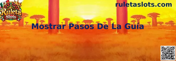 Imagen ilustrativa de la función Mostrar Pasos De La Guía de Ruleta Slots